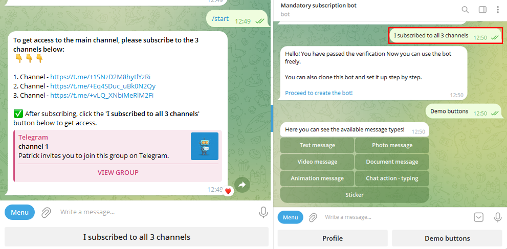 Screenshots of the subscription verification bot in Telegram (slide 3)